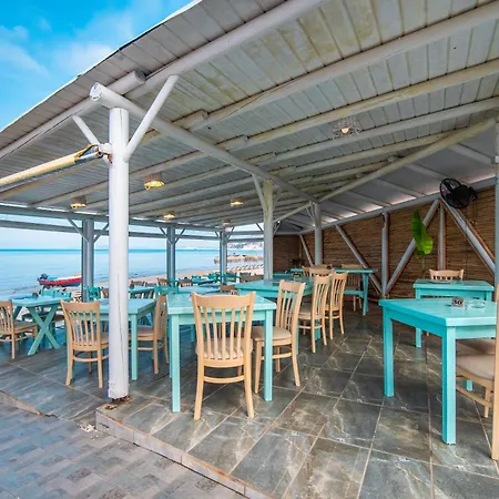 Mirage Arillas C * أريلاز