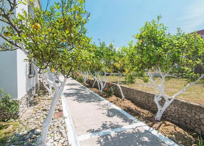 Mirage Arillas C ארילס