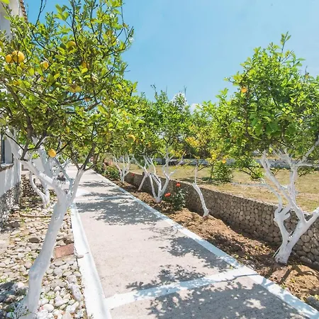 Mirage Arillas C Arílasz